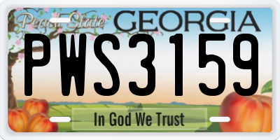 GA license plate PWS3159