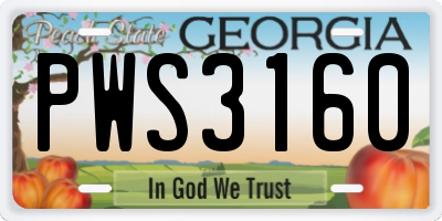 GA license plate PWS3160