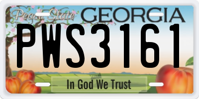 GA license plate PWS3161