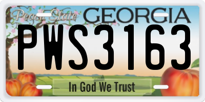 GA license plate PWS3163