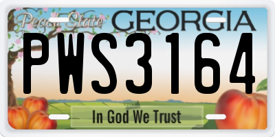 GA license plate PWS3164