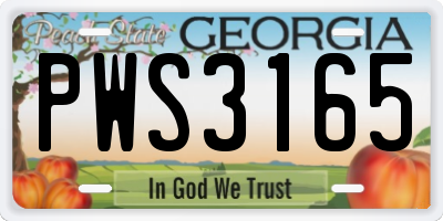 GA license plate PWS3165