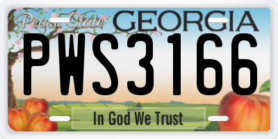 GA license plate PWS3166