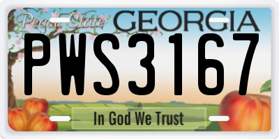 GA license plate PWS3167