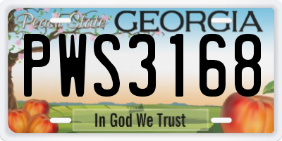 GA license plate PWS3168