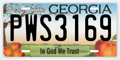 GA license plate PWS3169