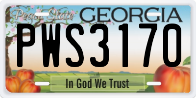 GA license plate PWS3170