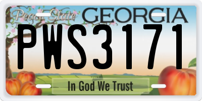 GA license plate PWS3171