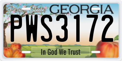 GA license plate PWS3172