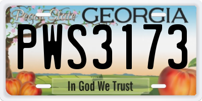 GA license plate PWS3173
