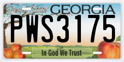 GA license plate PWS3175