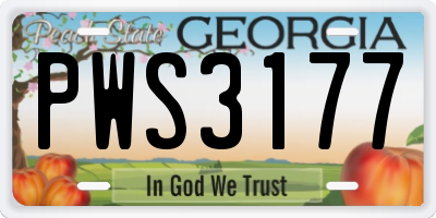 GA license plate PWS3177