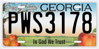 GA license plate PWS3178