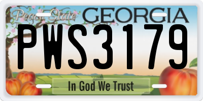 GA license plate PWS3179
