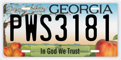 GA license plate PWS3181