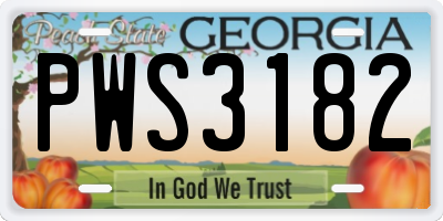 GA license plate PWS3182