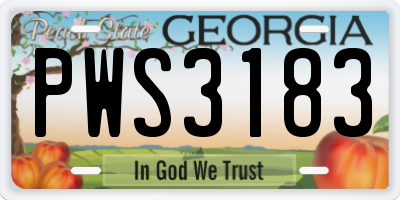 GA license plate PWS3183