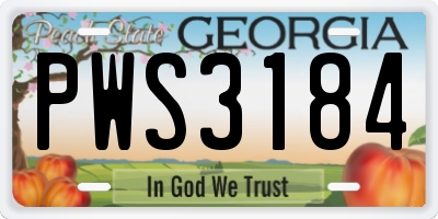 GA license plate PWS3184