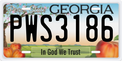 GA license plate PWS3186