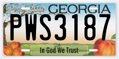 GA license plate PWS3187