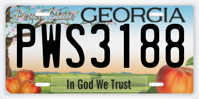 GA license plate PWS3188