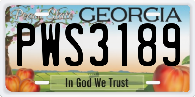GA license plate PWS3189