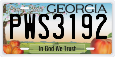GA license plate PWS3192