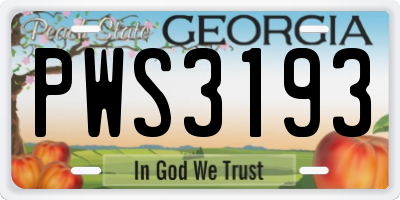 GA license plate PWS3193