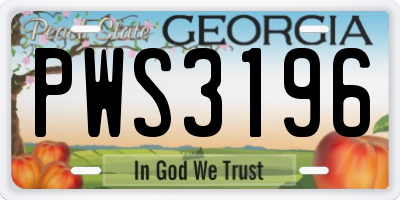 GA license plate PWS3196