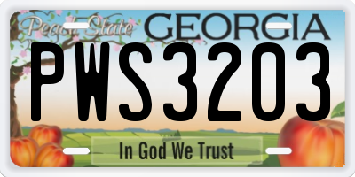 GA license plate PWS3203