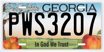 GA license plate PWS3207