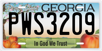 GA license plate PWS3209