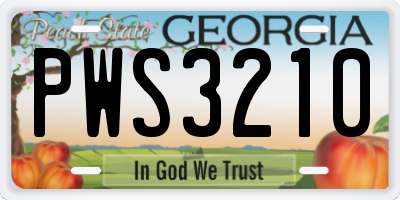 GA license plate PWS3210