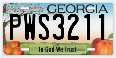GA license plate PWS3211