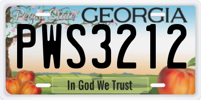 GA license plate PWS3212
