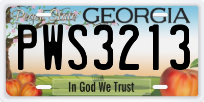 GA license plate PWS3213