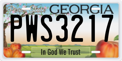 GA license plate PWS3217