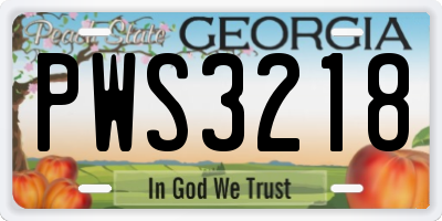 GA license plate PWS3218