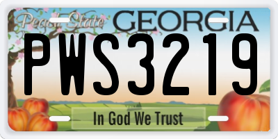 GA license plate PWS3219