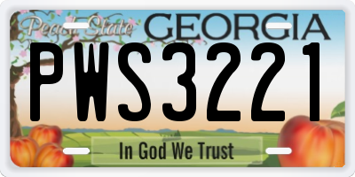 GA license plate PWS3221