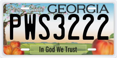 GA license plate PWS3222