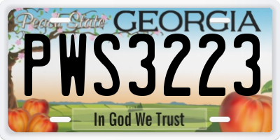 GA license plate PWS3223