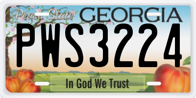 GA license plate PWS3224