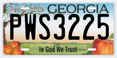 GA license plate PWS3225