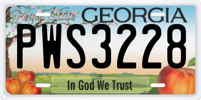 GA license plate PWS3228