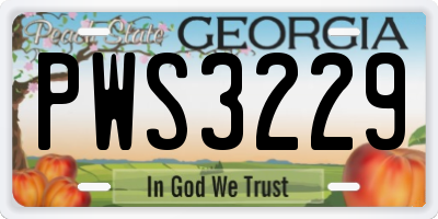 GA license plate PWS3229
