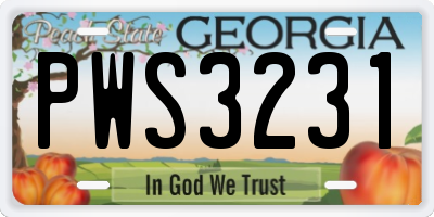 GA license plate PWS3231