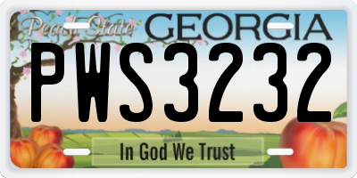 GA license plate PWS3232