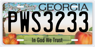 GA license plate PWS3233