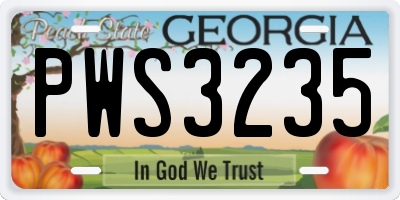 GA license plate PWS3235